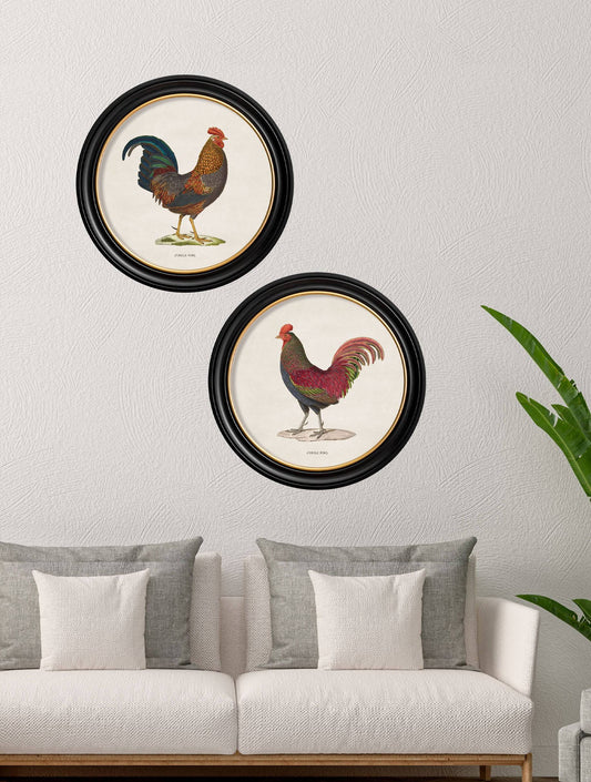 c.1838 Junglefowl in Round Frames - Blythe Living