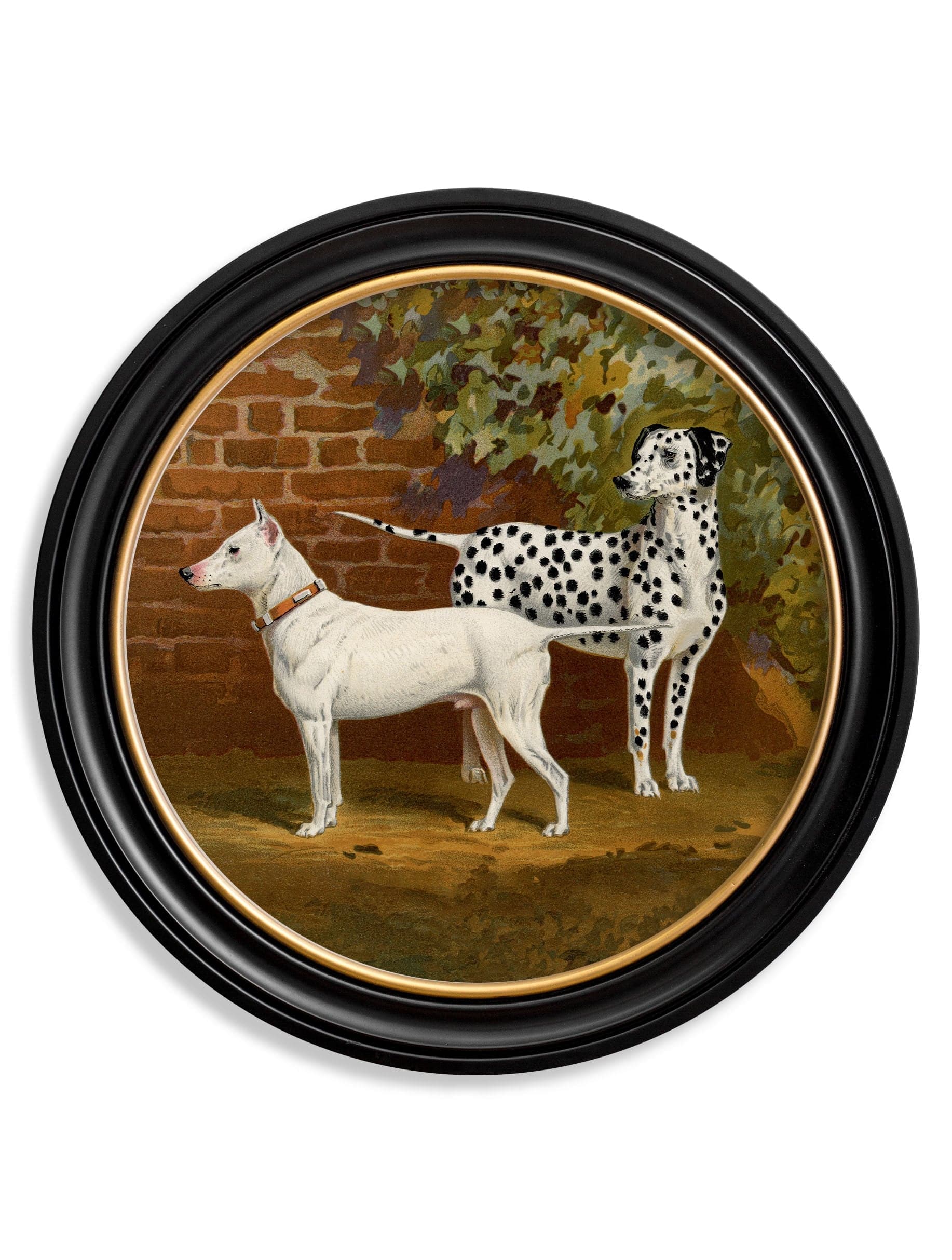 c.1881 Dogs - Round Frame - Blythe Living