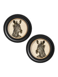 c1890 Zebra Illustrations in Round Frame - Dark - Blythe Living