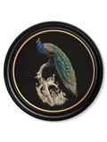 c.1847 Peacocks in Round Frames - Dark - Blythe Living