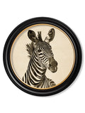 c1890 Zebra Illustrations in Round Frame - Dark - Blythe Living