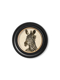 c1890 Zebra Illustrations in Round Frame - Dark - Blythe Living