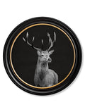 Wildlife Photography - Red Deer - Round Frame - Blythe Living