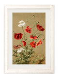 Discover 1831 hand-coloured botanical Floral Group ivory framed prints UK
