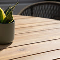 Discover Maze Bali dining set for sale UK