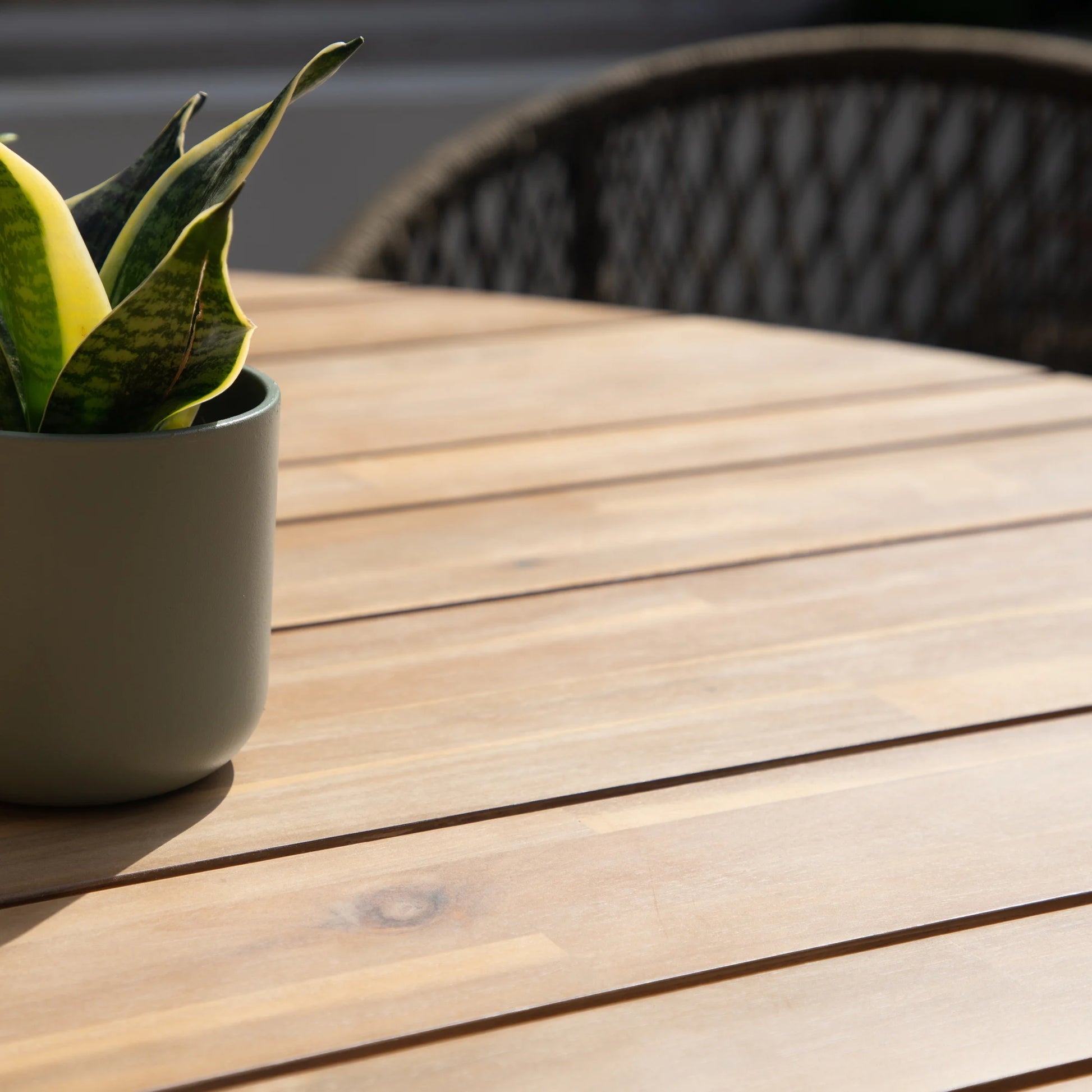 Discover Maze Bali dining set for sale UK