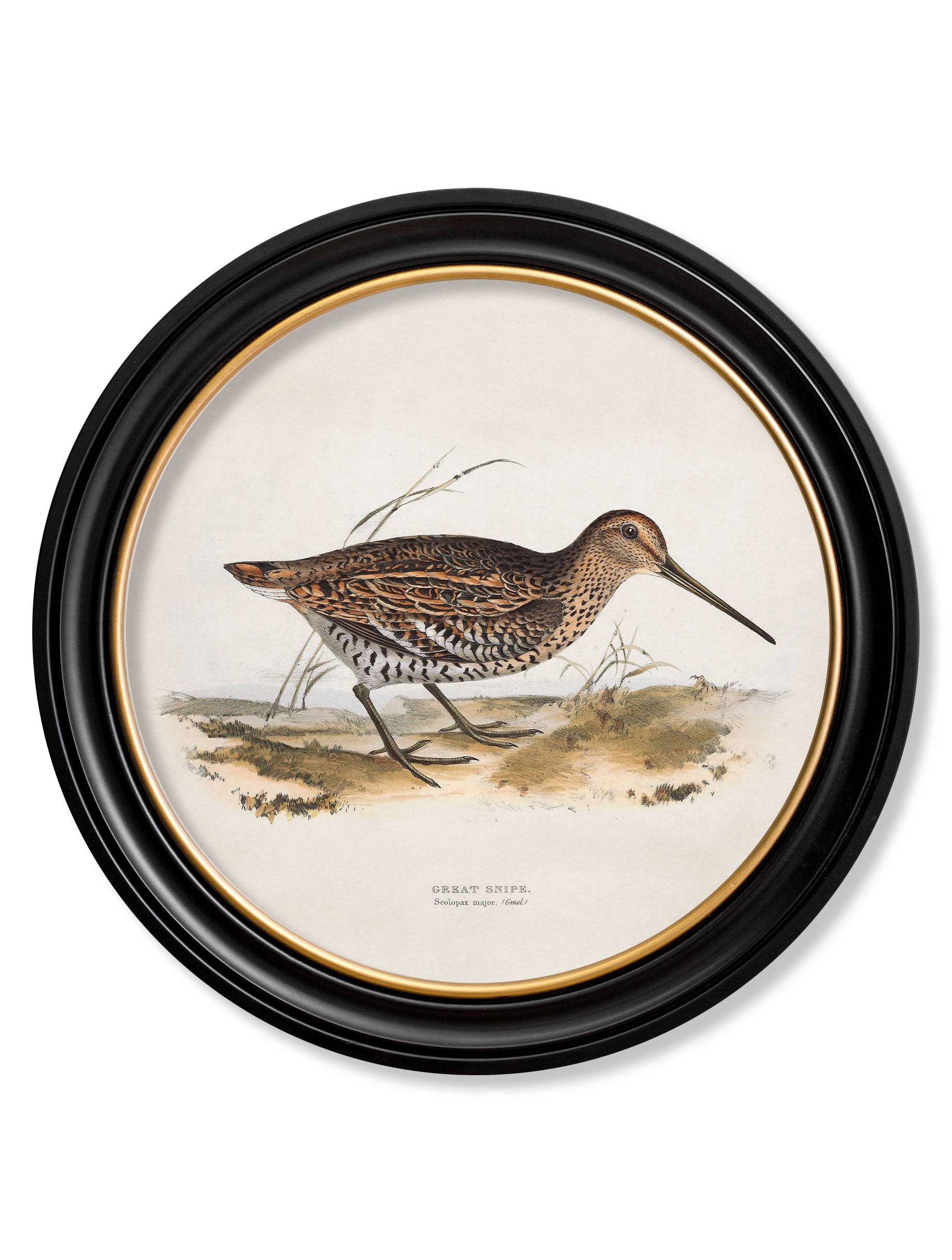 Discover c.1837's British Game Birds Round Frame collection of four UK
