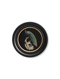Discover c.1847 Peacocks Dark Oxford Round framed prints set of 2
