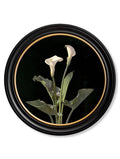 Discover c.1874 George Cochran Lambdin Lillys Round Frame 70x70cm online

