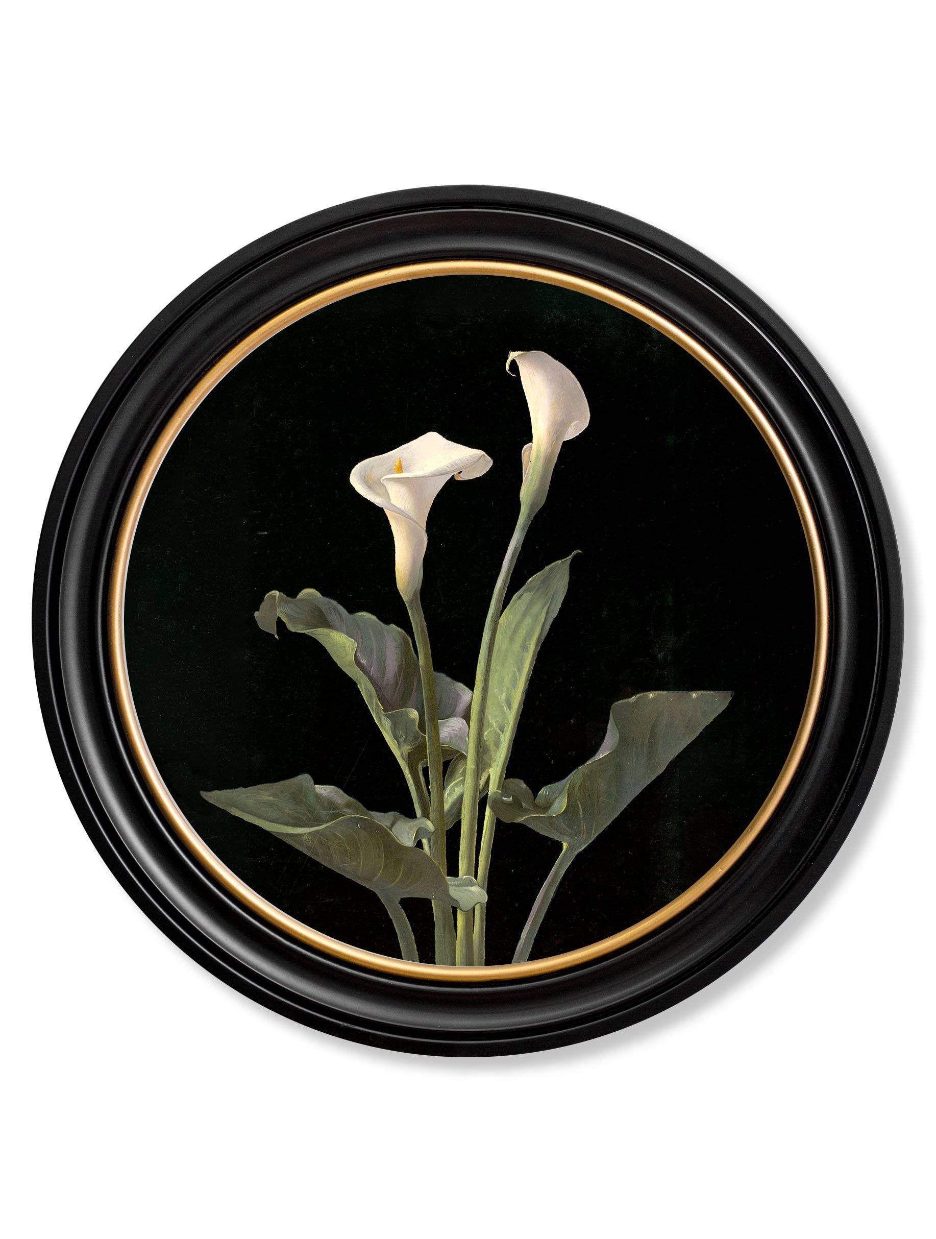 Discover c.1874 George Cochran Lambdin Lillys Round Frame 70x70cm online
