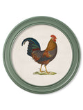 Discover hand-coloured 1838 junglefowl print green round frame Blythe Living
