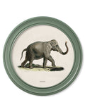 Discover remastered 1846 Indian elephant pair print green round frame
