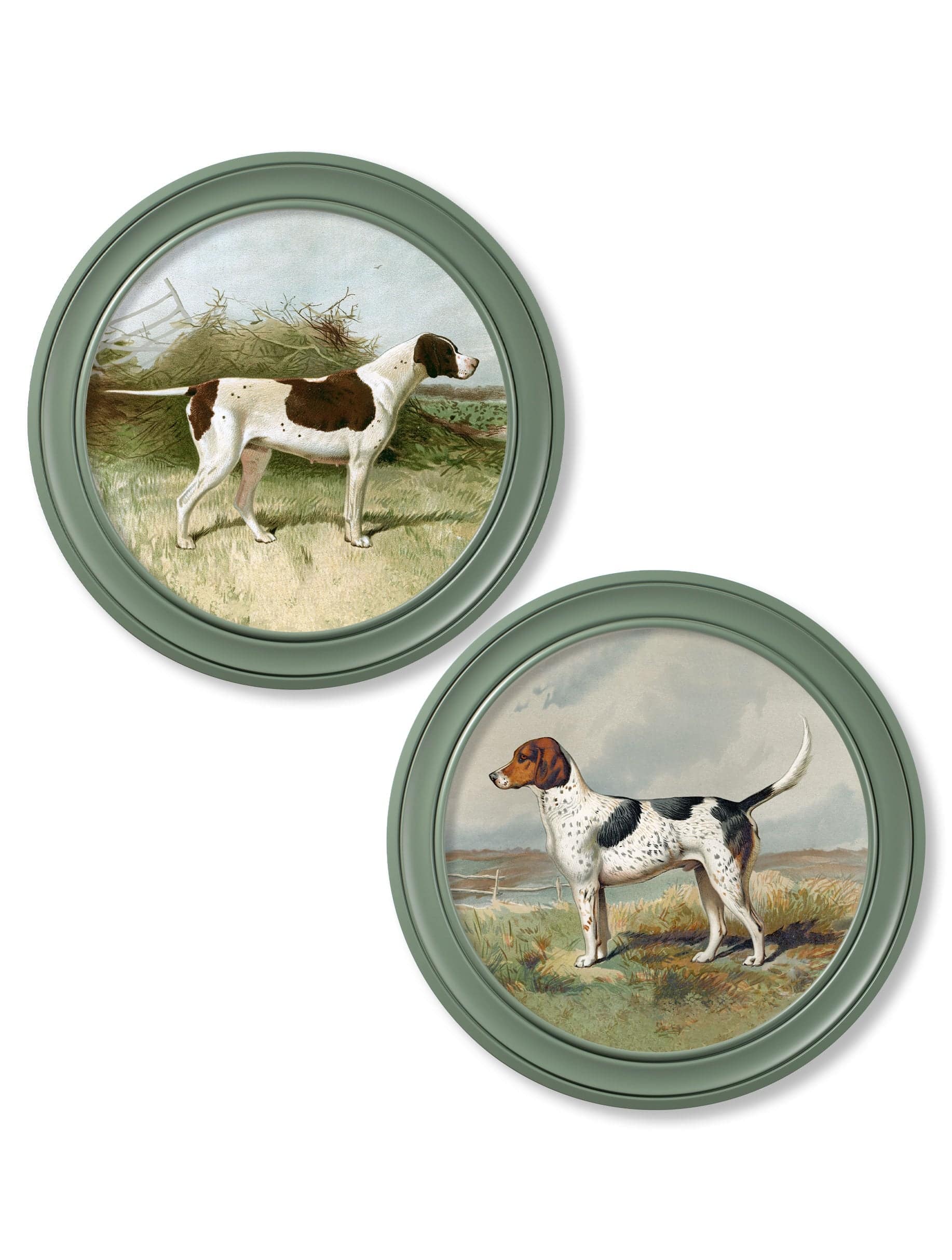 c.1881 Gun Dogs - Round Frame Green - Blythe Living