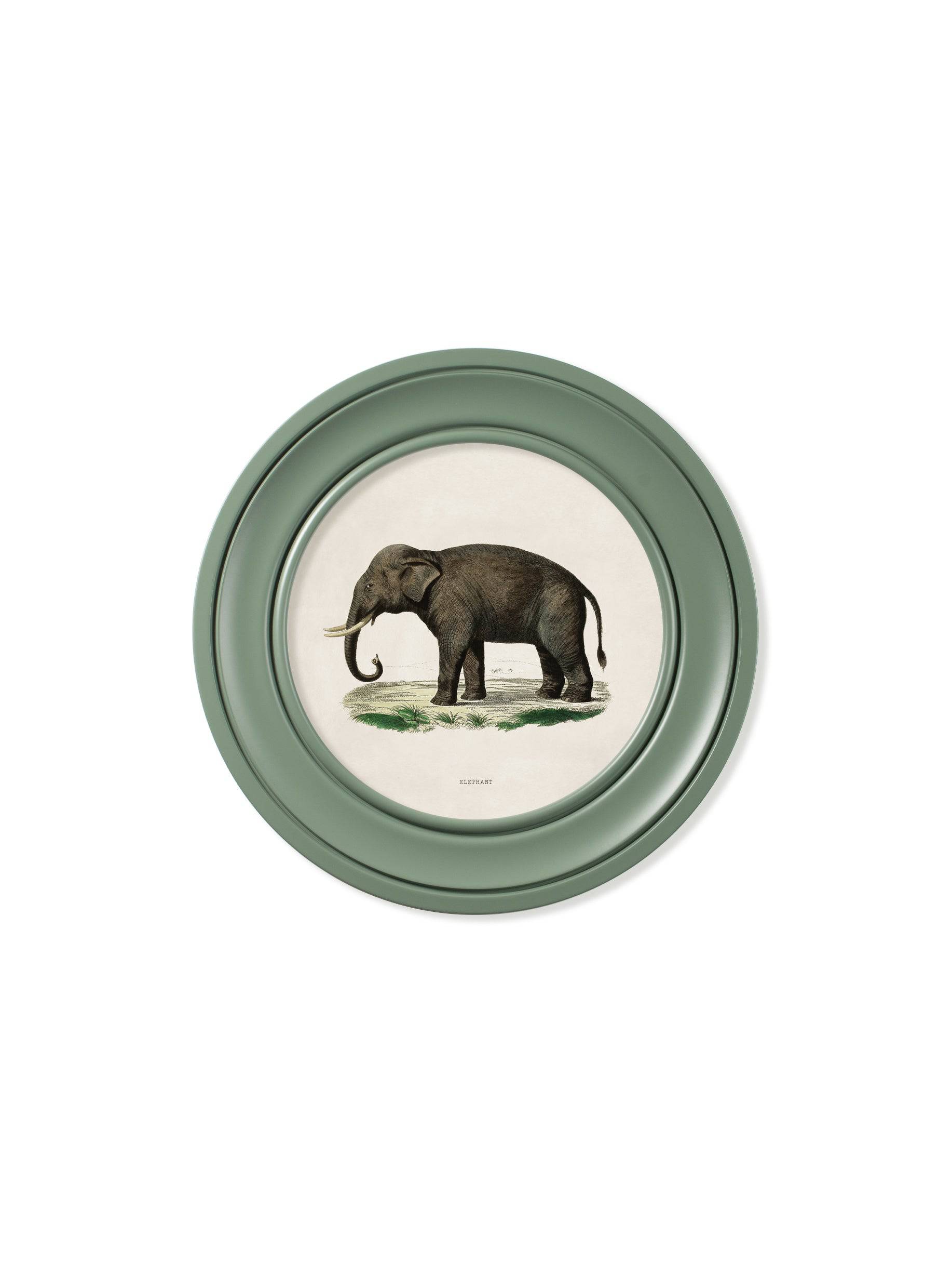 c.1846 Elephants in Round Frame Green - Blythe Living