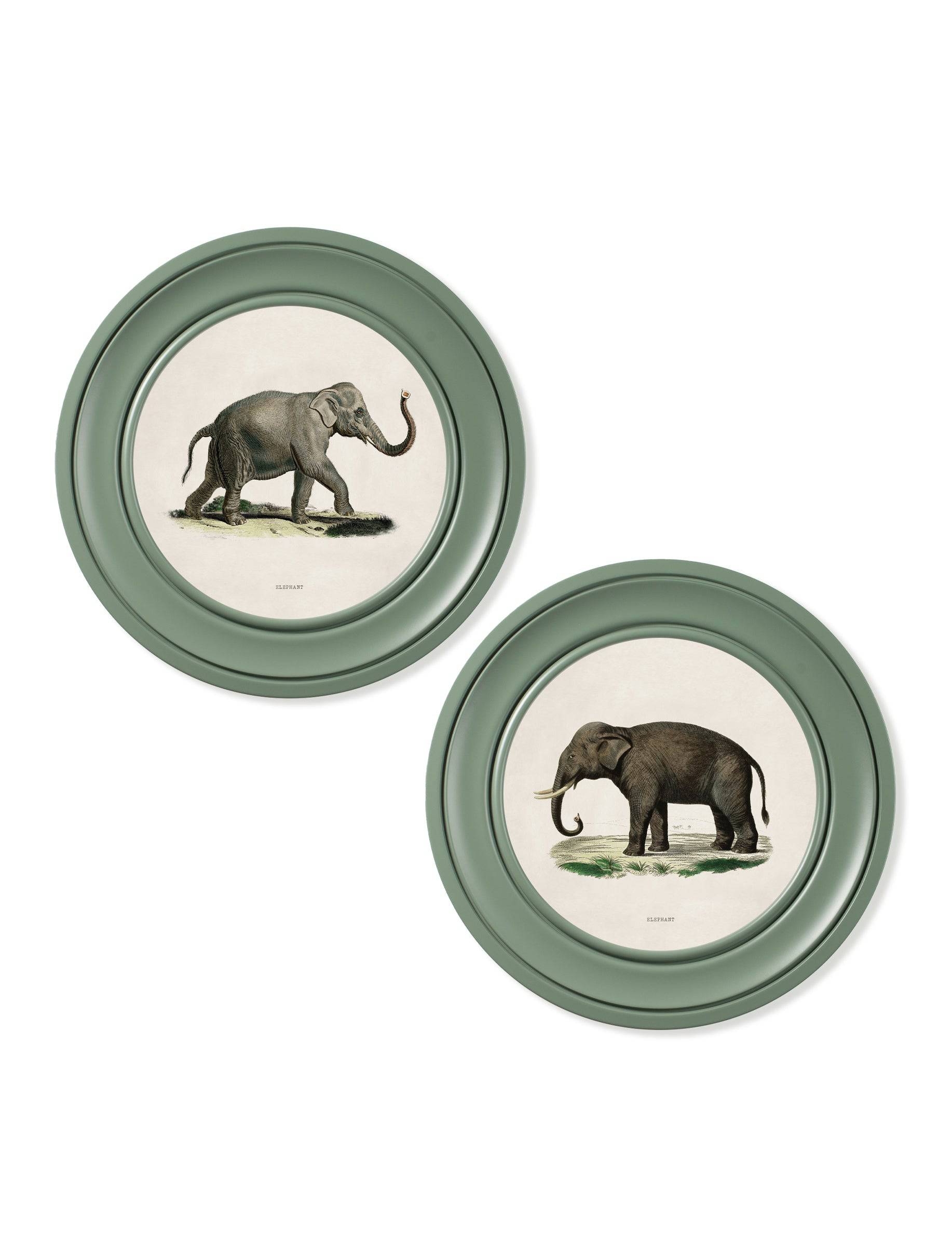 c.1846 Elephants in Round Frame Green - Blythe Living