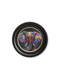 Elephant Print Wisdom by Amy Ansell Oxford Round Frame for sale UK
