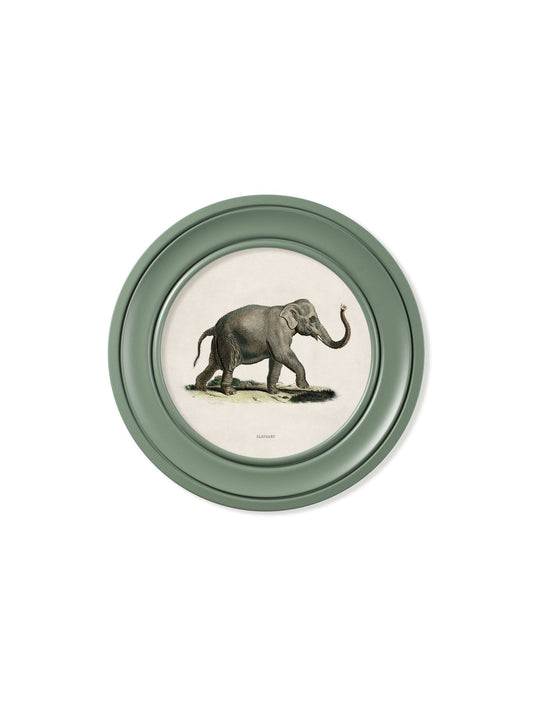 c.1846 Elephants in Round Frame Green - Blythe Living