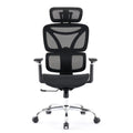 Elite Mesh Black Office Chair
