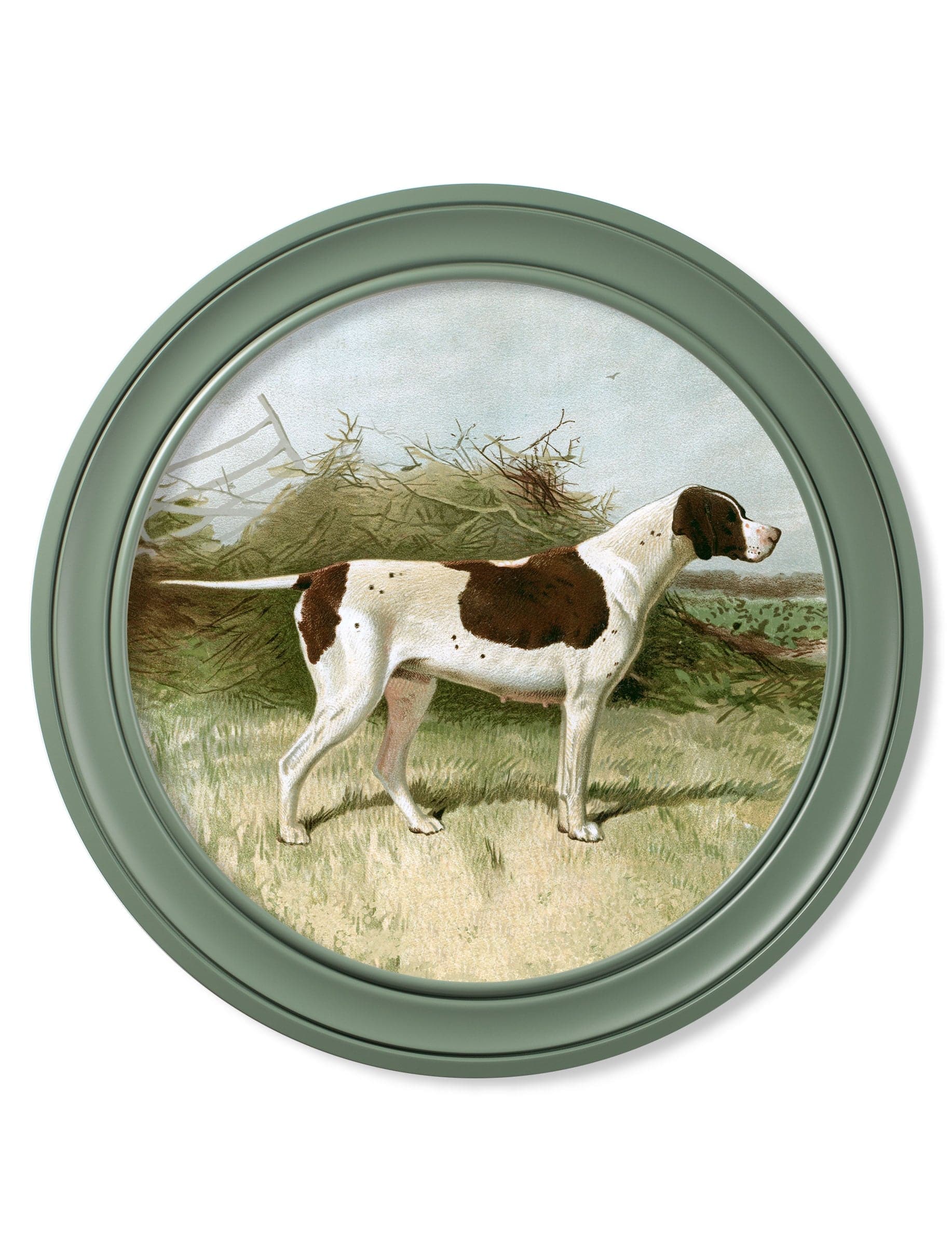 Explore c.1881 Gun Dogs Round Frame Green archival wall art online UK
