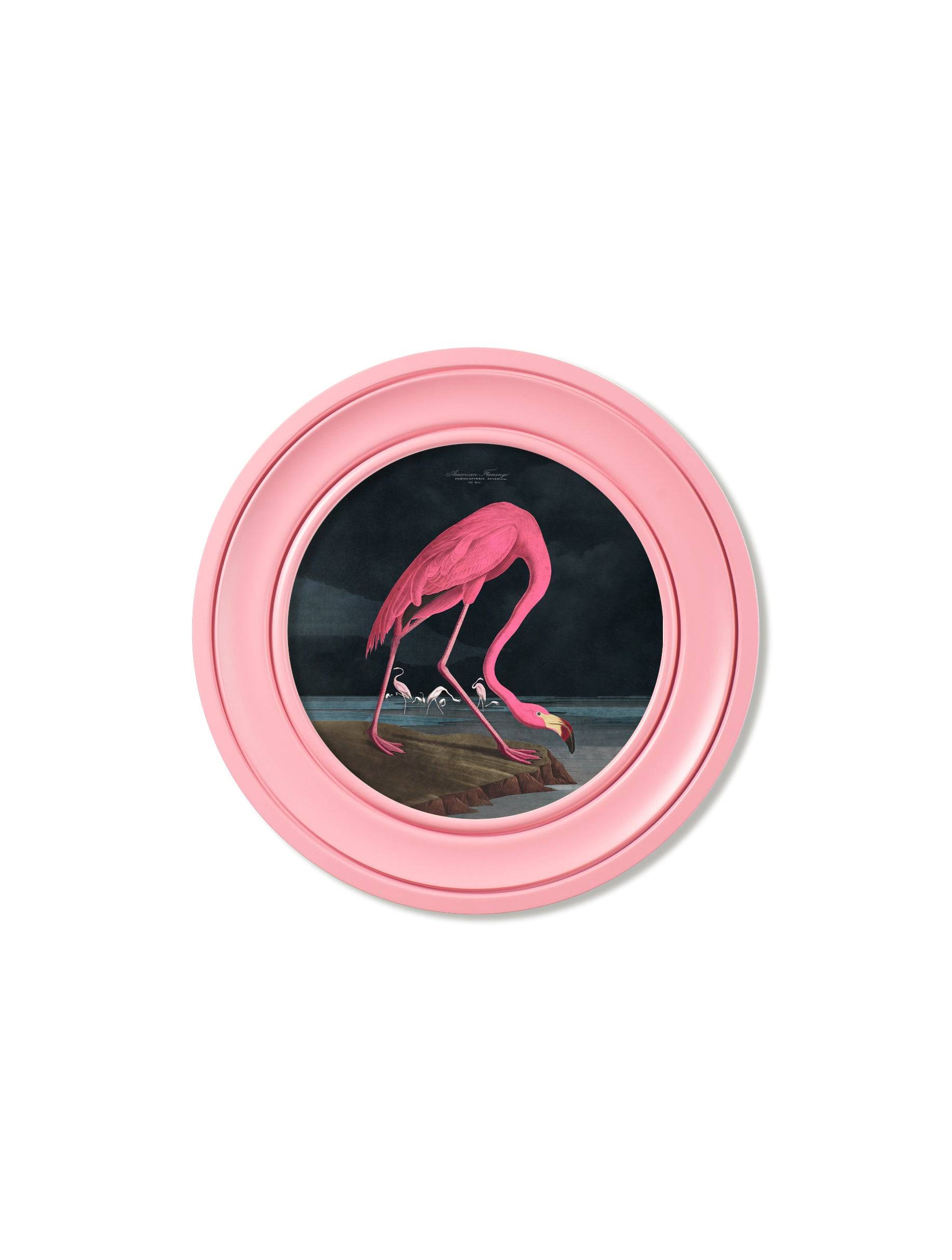 c.1838 Audubon's Flamingo - Dark - Round Frame Pink - Blythe Living