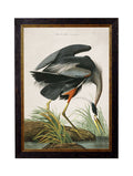 For sale large 135cm Audubon Great Blue Heron wall decor
