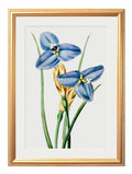 For sale set of 4 blue floral art prints for gallery wall