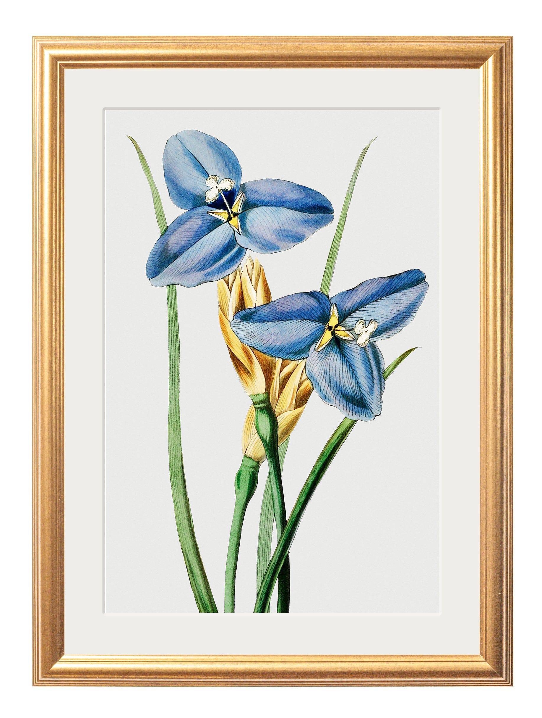 For sale set of 4 blue floral art prints for gallery wall