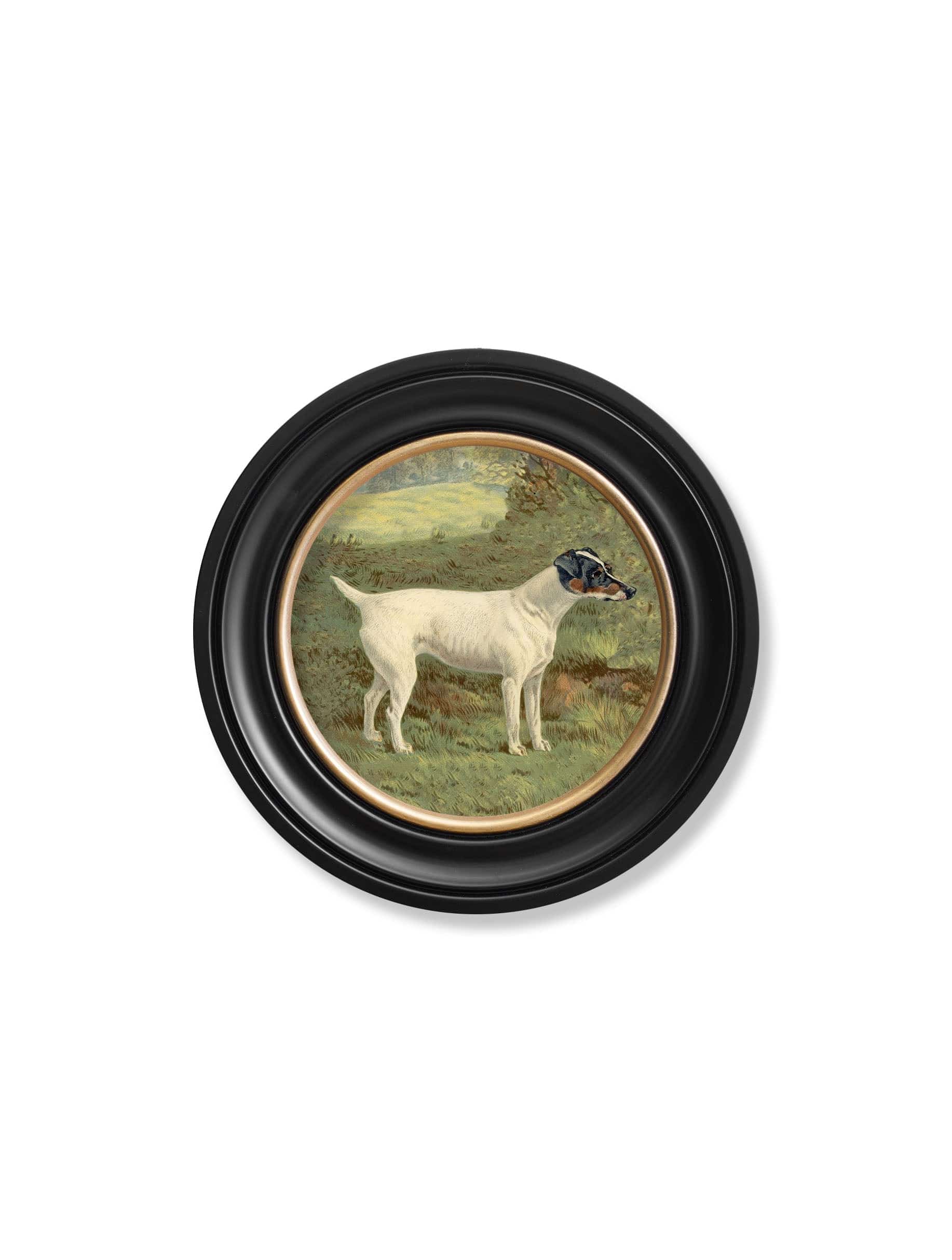 c.1881 Terriers - Round Frame - Blythe Living