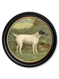 c.1881 Terriers - Round Frame - Blythe Living