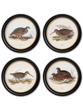 c.1837's British Game Birds - Round - Blythe Living