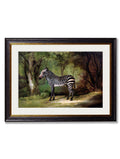 c.1763 George Stubb's Zebra - Blythe Living