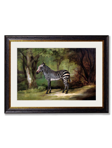 c.1763 George Stubb's Zebra - Blythe Living