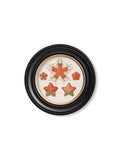 Get Collection of 2 Haeckel Sealife Prints in Custom-Made Round Wood Frames