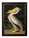 Get Grand 135cm c.1838 Audubon's Birds of America Statement Art in Wood Frame