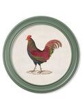 Get c.1838 Junglefowl in Round Frames Green for your home online
