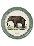Get c.1846 Elephants in Round Frame Green for sale Blythe Living
