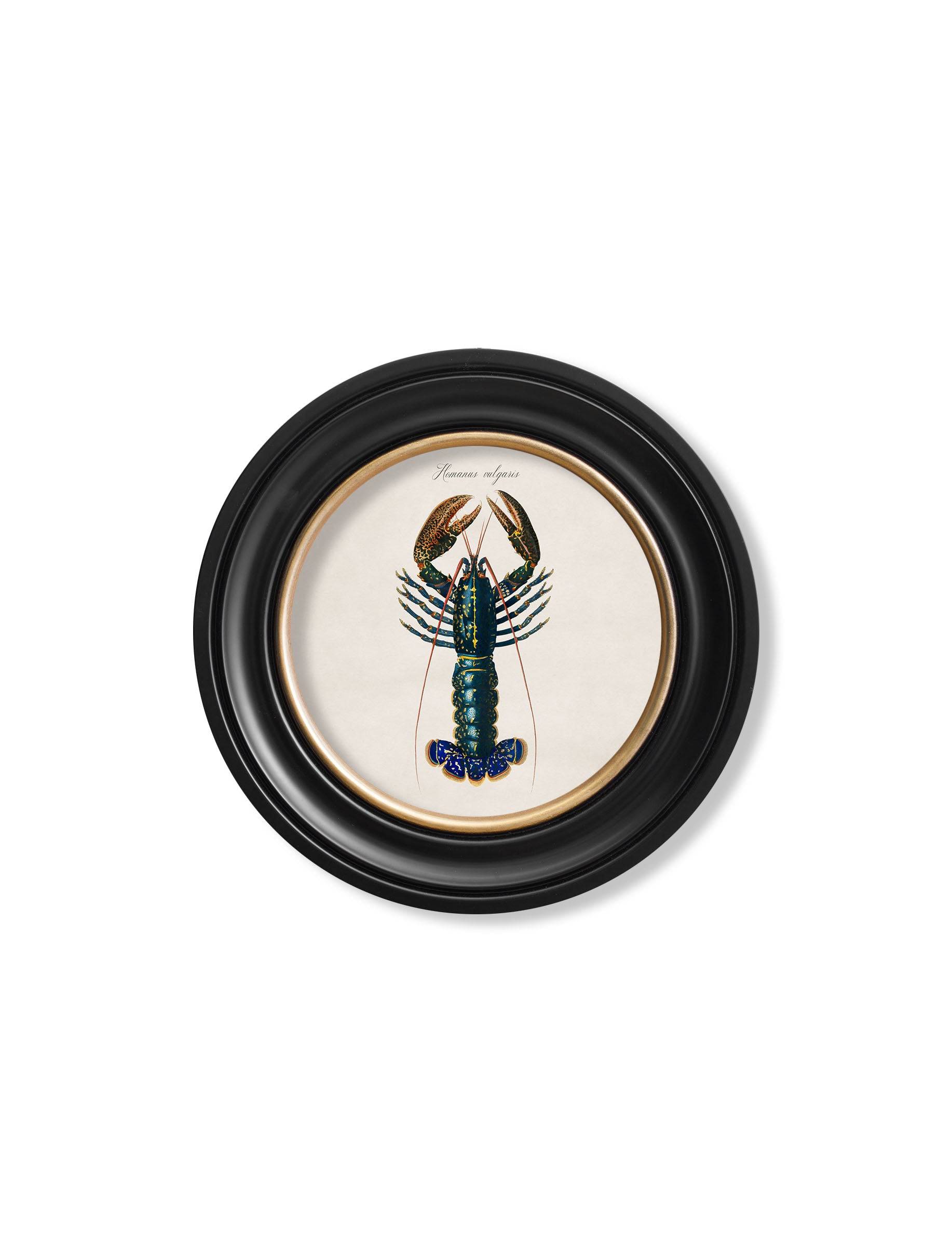 Get c.1876 Crabs Portrait in Custom-Made Round Wood Frame