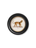 Get the c.1800s Lion and Lioness round framed art set online UK
