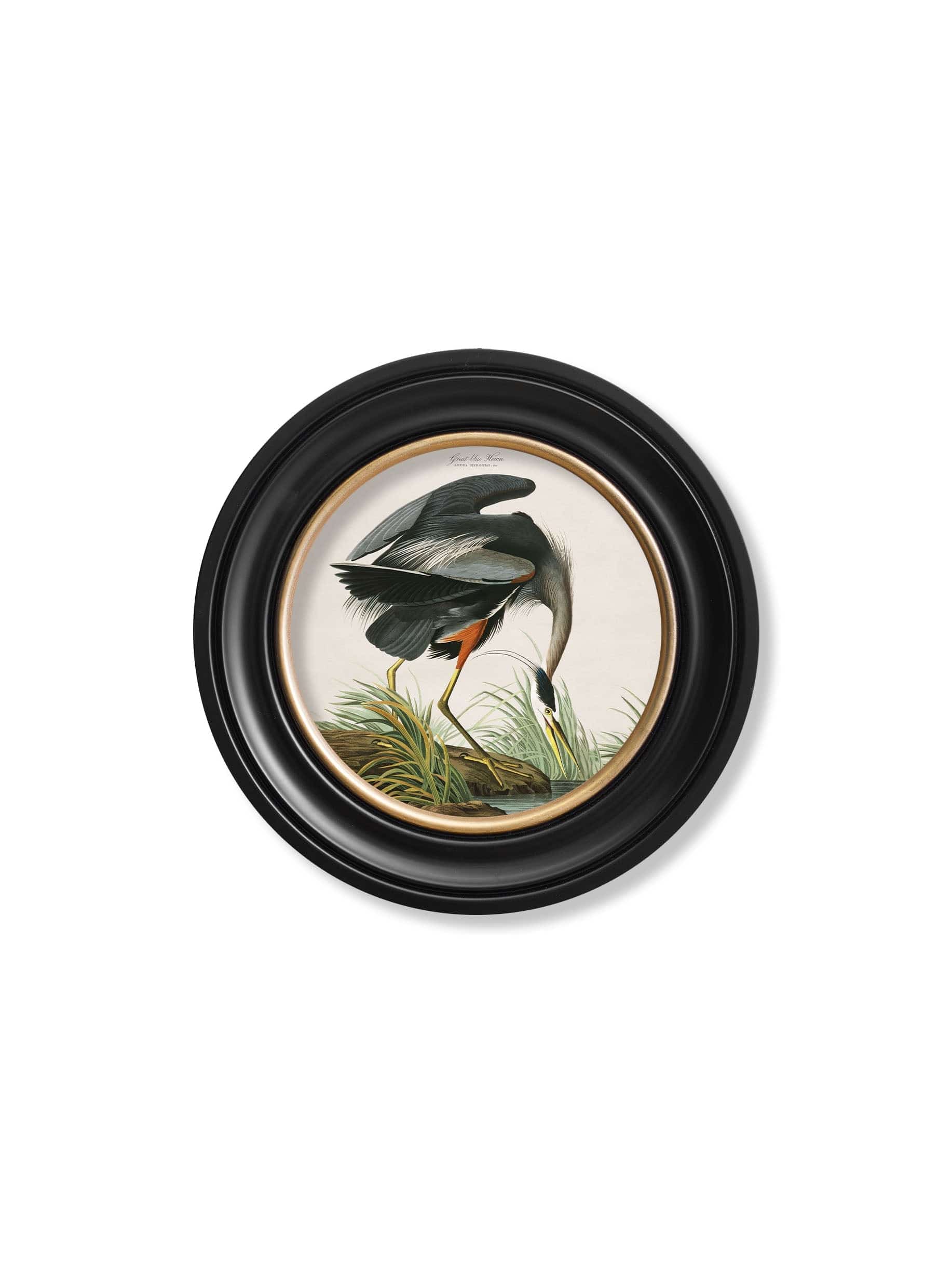 c.1838 Audubon's Great Blue Heron - Blythe Living