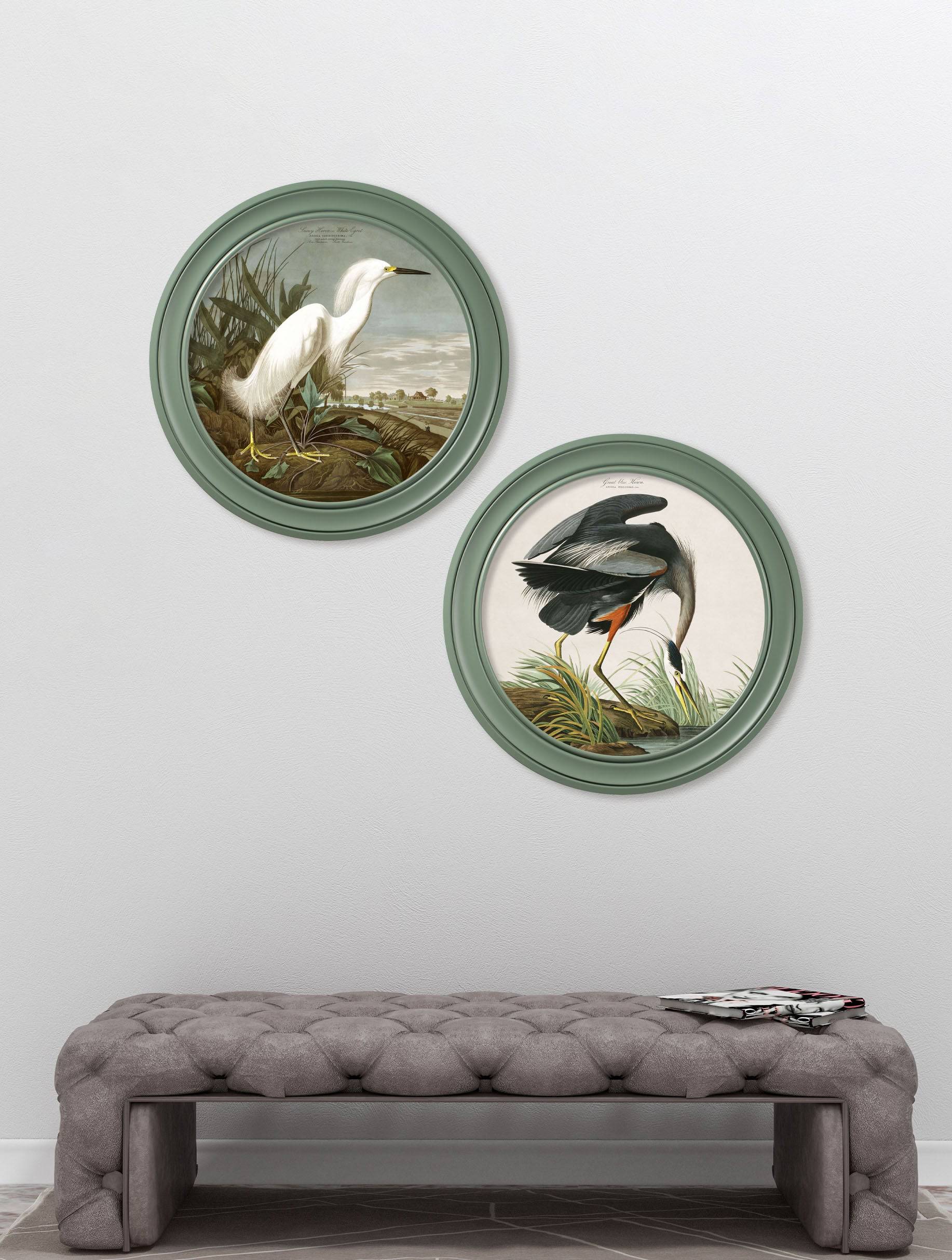 c.1838 Audubon's Great Blue Heron in Green Frame - Blythe Living