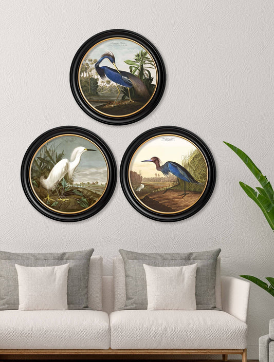 c.1838 Audubon's Herons in Round Frames - Blythe Living