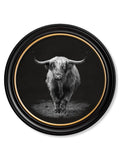 Wildlife Photography - Highland Cow - Round Frame - Blythe Living