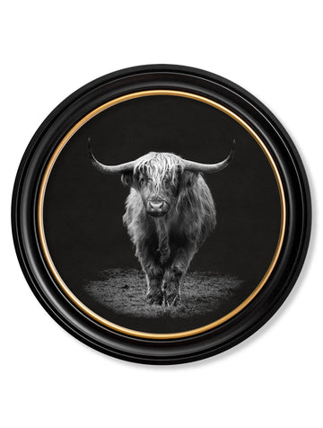 Wildlife Photography - Highland Cow - Round Frame - Blythe Living