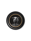 Wildlife Photography - Highland Cow - Round Frame - Blythe Living