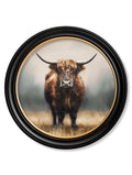 Highland Cow - Oxford Round Frame