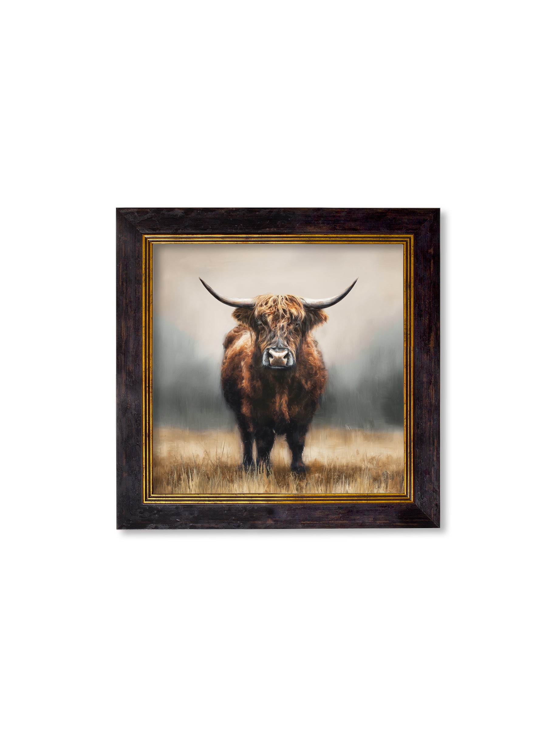 Highland Cow Oxford Square Frame for sale ready to hang UK
