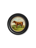 c.1881 Terriers - Round Frame - Blythe Living