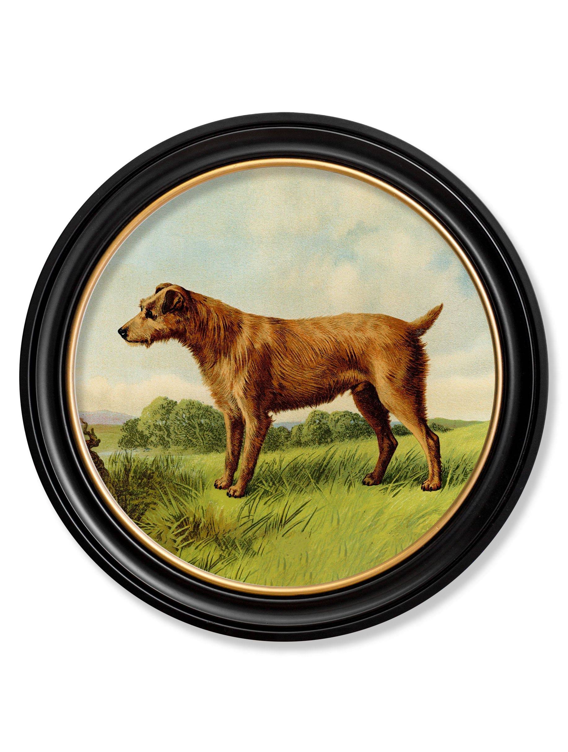 c.1881 Terriers - Round Frame - Blythe Living