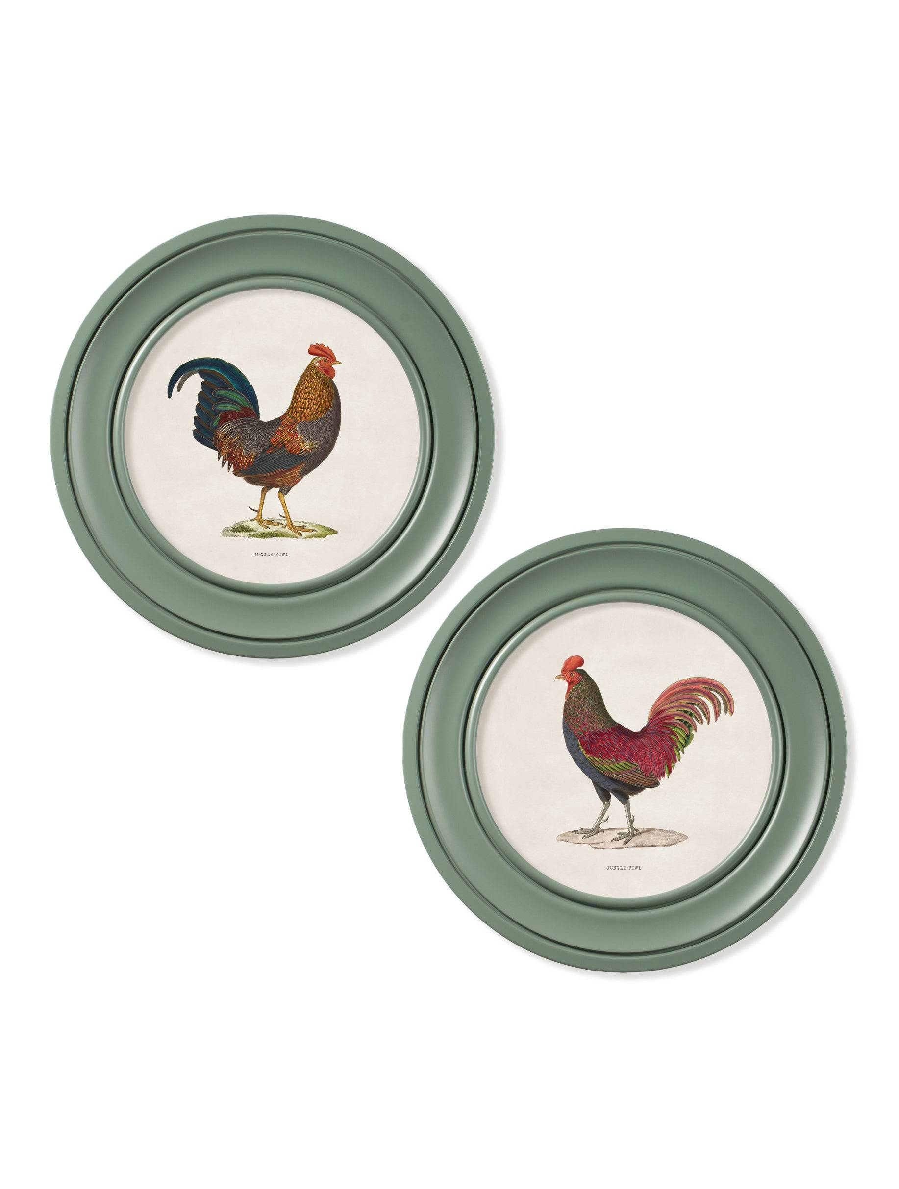 c.1838 Junglefowl in Round Frames Green - Blythe Living