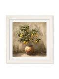 Mediterranean Lemon Tree - Cream Hurstwood Square Frame - Blythe Living